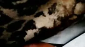 دانیل عكس كير كون سر ...