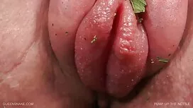 سبزه شاخی و دو لعنتی ...