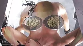 سبزه داغ گربه اش را  ...