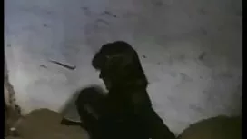 به نظر می رسد که تما ...