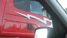 بیانکا گربه صورتی خو ...