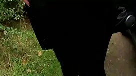 دوست دخترم را عكس سك ...