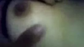 سبزه بینی خدمات مشتر ...