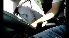 جوجه سیاه در حال مکی ...